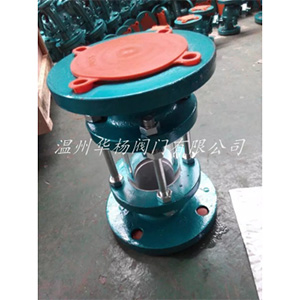 HGSO7F46襯氟視盅