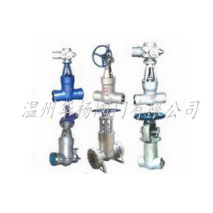 高溫高壓電站閥門