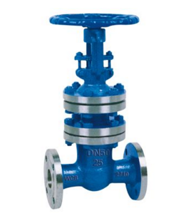 WZ41H國標(biāo)波紋管閘閥