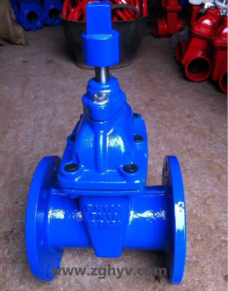 RVCX彈性座封閘閥